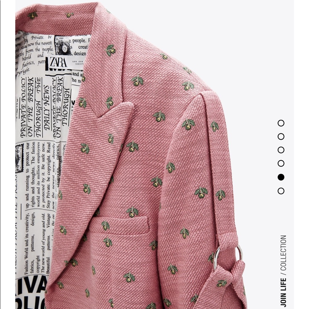 Zara limited edition embroidered blazer